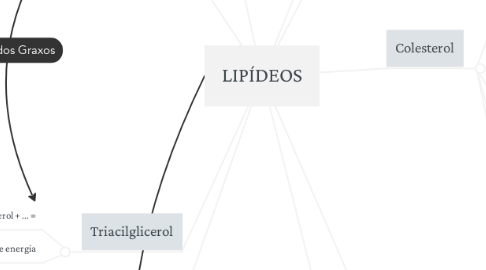 Mind Map: LIPÍDEOS