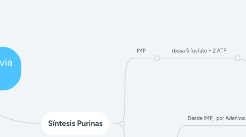 Mind Map: sintesis de nucleotidos via de novo