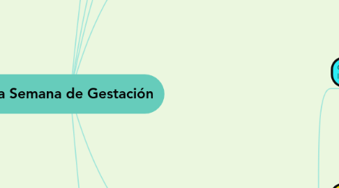 Mind Map: 3ra Semana de Gestación