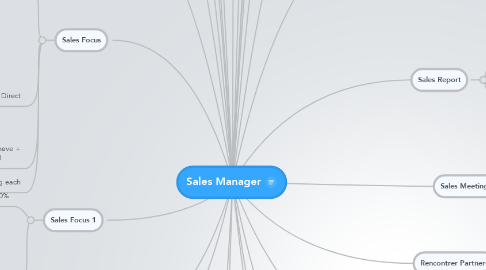 Mind Map: Sales Manager