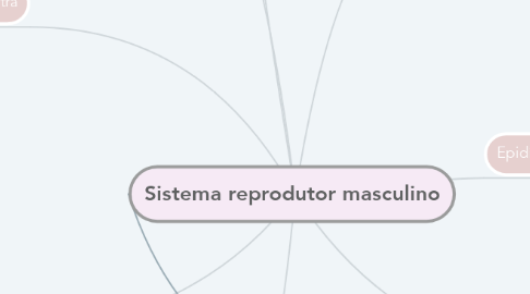 Mind Map: Sistema reprodutor masculino
