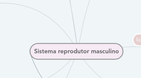 Mind Map: Sistema reprodutor masculino