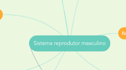 Mind Map: Sistema reprodutor masculino