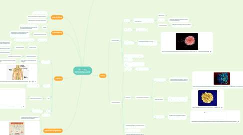 Mind Map: SISTEMA INMUNOLOGICO