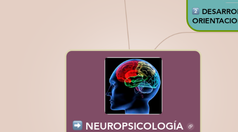 Mind Map: NEUROPSICOLOGÍA