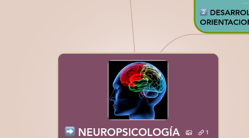 Mind Map: NEUROPSICOLOGÍA