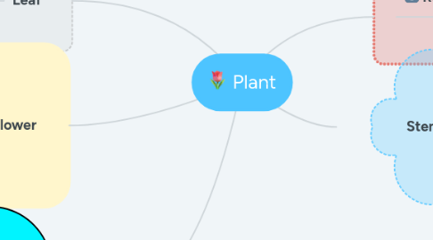 Mind Map: Plant