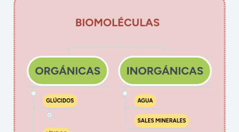 Mind Map: BIOMOLÉCULAS