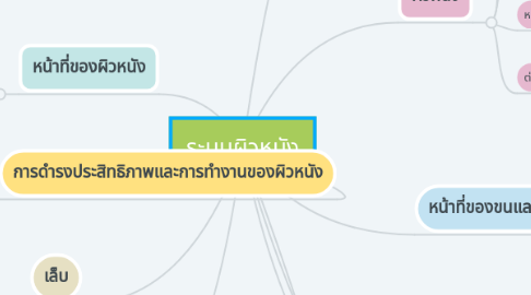 Mind Map: ระบบผิวหนัง