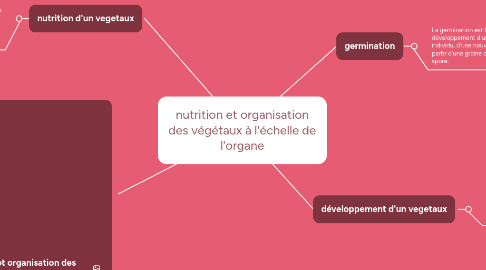Mind Map: nutrition et organisation des végétaux à l'échelle de l'organe