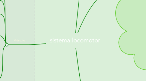 Mind Map: sistema locomotor