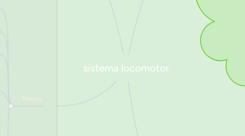 Mind Map: sistema locomotor