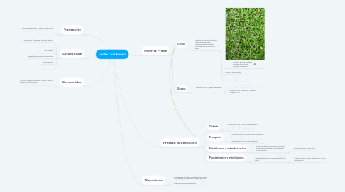 Mind Map: Leche Lala Entera