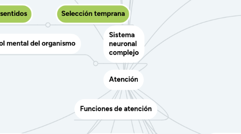 Mind Map: Atención