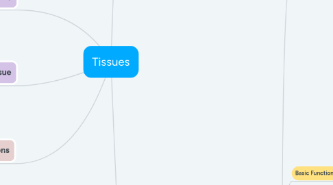 Mind Map: Tissues