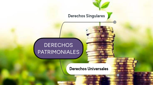 Mind Map: DERECHOS PATRIMONIALES