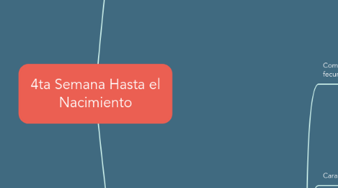 Mind Map: 4ta Semana Hasta el Nacimiento