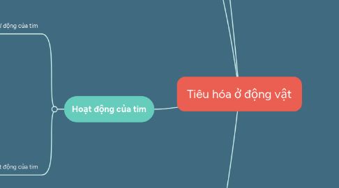 Mind Map: Tiêu hóa ở động vật