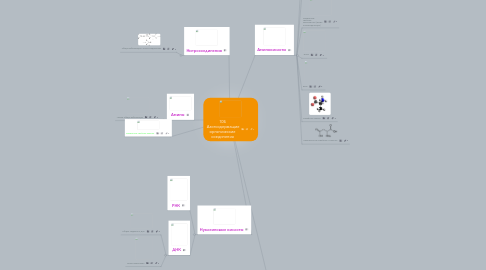 Mind Map: 10Б Азотсодержащие органические соединения