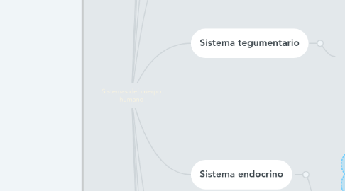 Mind Map: Sistemas del cuerpo humano