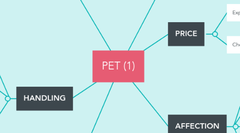 Mind Map: PET (1)