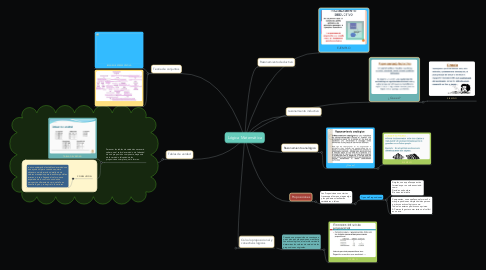 Mind Map: Lógica Matemática