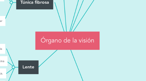 Mind Map: Órgano de la visión