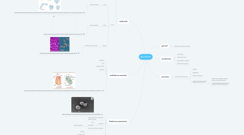 Mind Map: BACTERIAS