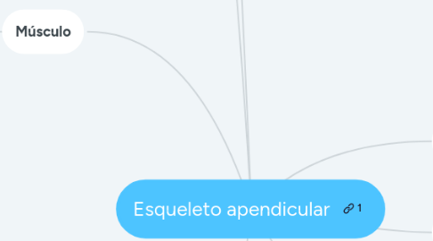 Mind Map: Esqueleto apendicular