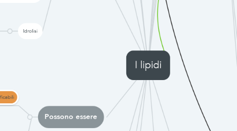 Mind Map: I lipidi