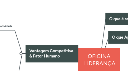Mind Map: OFICINA LIDERANÇA 07/05/2020