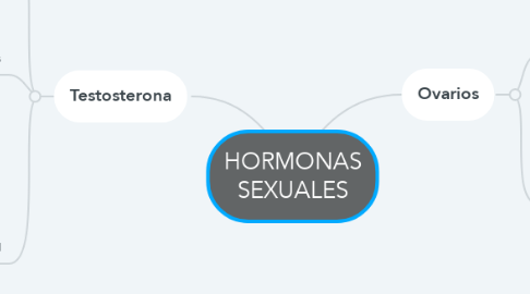 Mind Map: HORMONAS SEXUALES