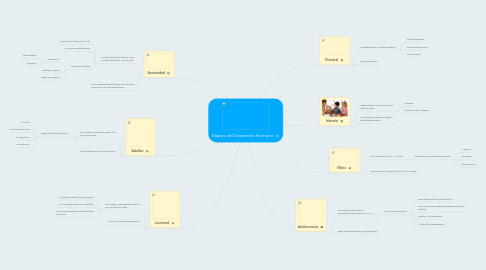 Mind Map: Etapas del Desarrollo Humano