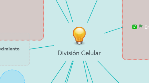 Mind Map: División Celular
