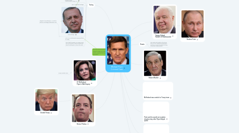 Mind Map: Michael Flynn Criminal Case