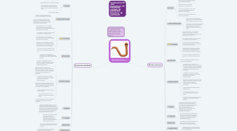 Mind Map: Ancilostomíase