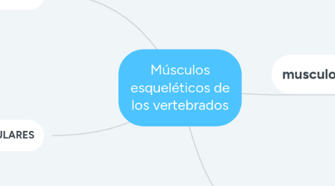 Mind Map: Músculos esqueléticos de los vertebrados