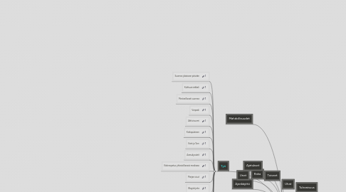 Mind Map: MarjaMap