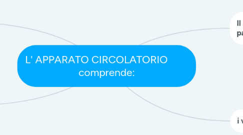 Mind Map: L' APPARATO CIRCOLATORIO comprende: