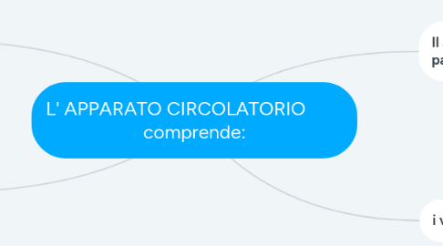 Mind Map: L' APPARATO CIRCOLATORIO         comprende: