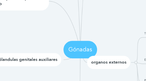 Mind Map: Gónadas