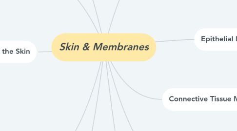 Mind Map: Skin & Membranes