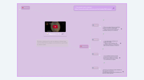 Mind Map: Meiosis I Y II