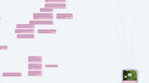Mind Map: La genética mendeliana