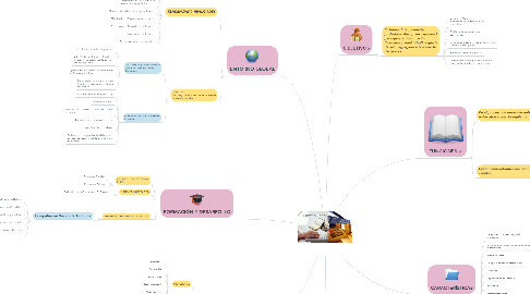 Mind Map: PROFESIONAL CONTABLE