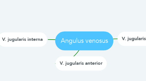 Mind Map: Angulus venosus