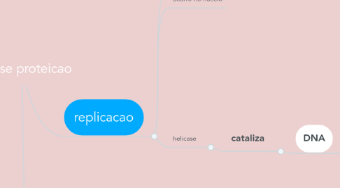 Mind Map: sintese proteicao