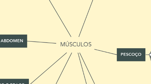 Mind Map: MÚSCULOS