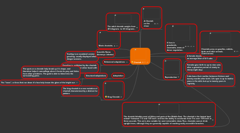 Mind Map: Cheetah