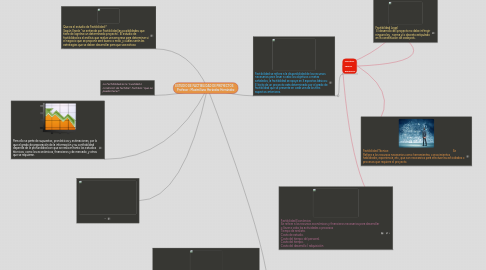 Mind Map: ESTUDIO DE FACTIBILIDAD DE PROYECTOS     Profesor : Maximiliano Herández Hernández